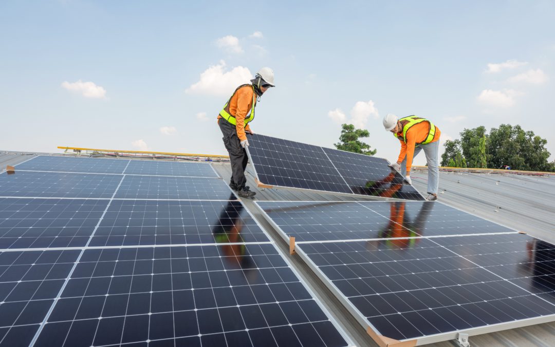 Tempo Partners With Aldi To Offer Residential Solar in NSW, Victoria, ACT and Queensland
